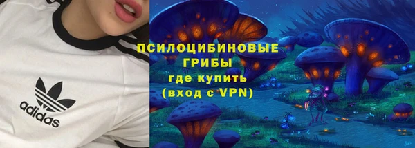 гидропоника Медвежьегорск