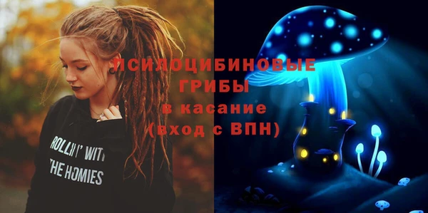 гидропоника Медвежьегорск