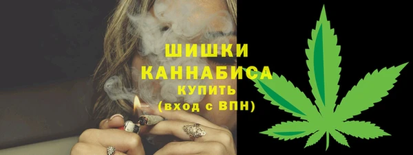 сатива Медногорск
