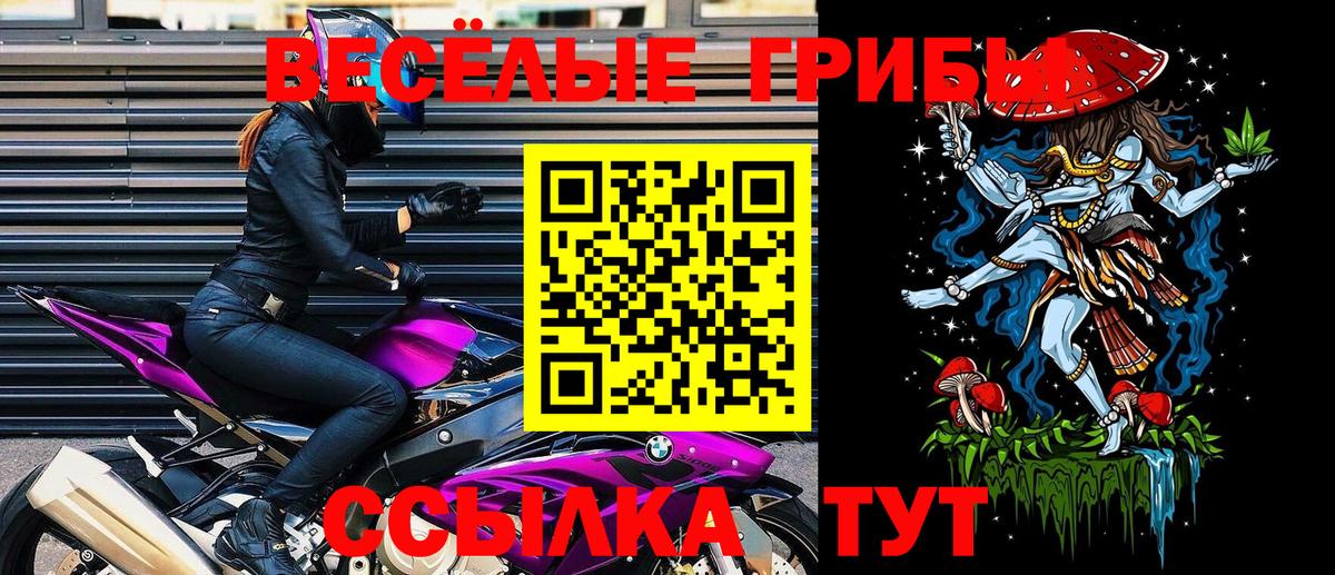 Галлюциногенные грибы прущие грибы Ангарск