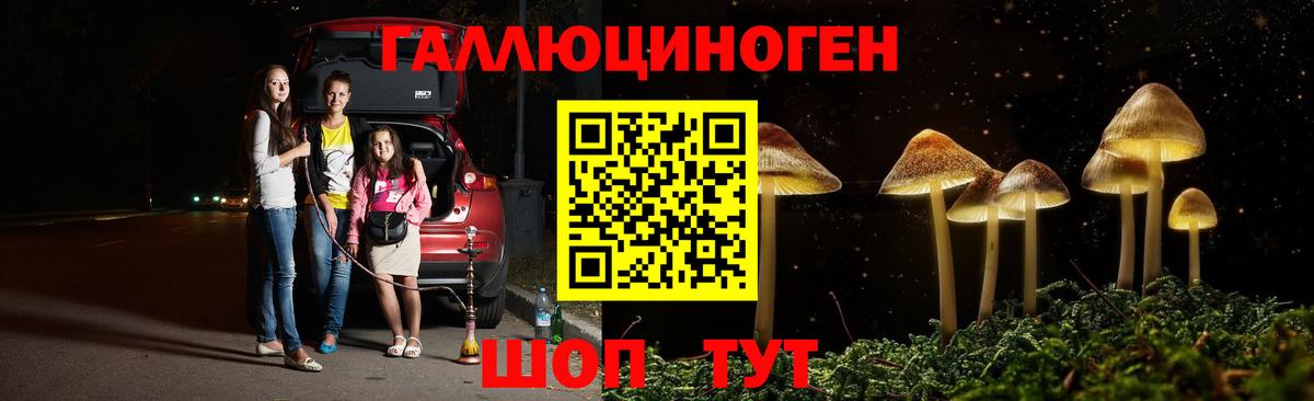 Псилоцибиновые грибы Psilocybine cubensis  Псилоцибиновые грибы Psilocybe  Ангарск 